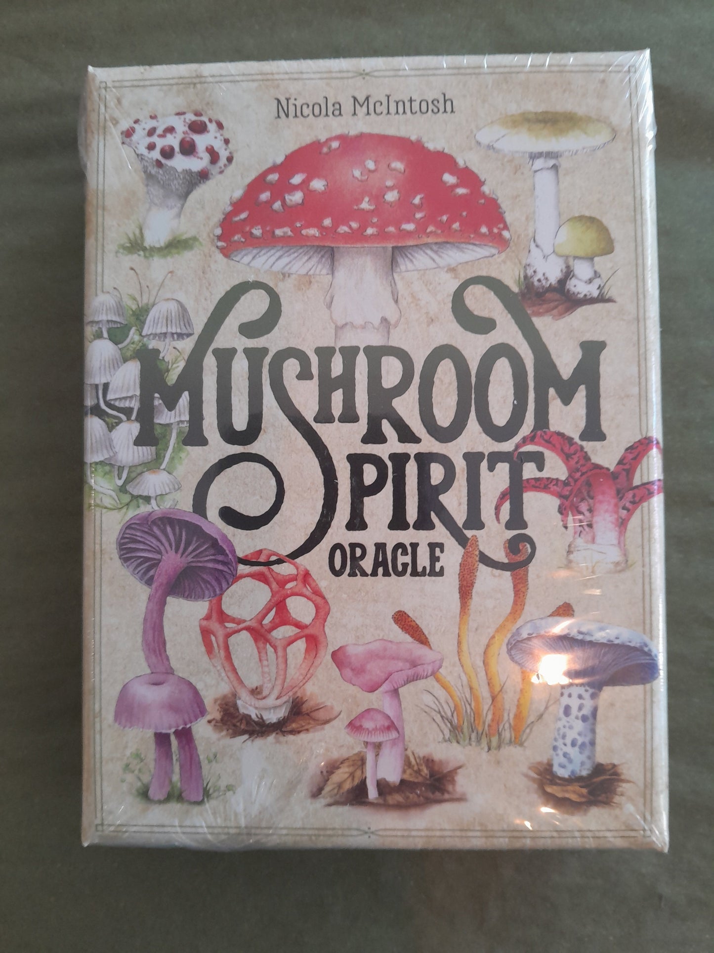 Mushroom Spirit Oracle Cards