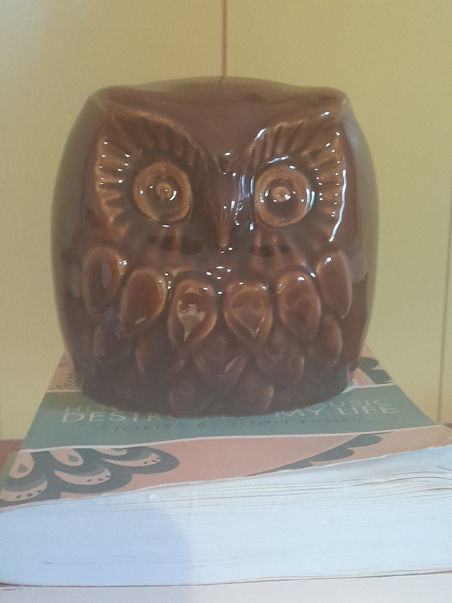 USEd 293 Vintage Denmead Pottery Owl Money Box. 1970