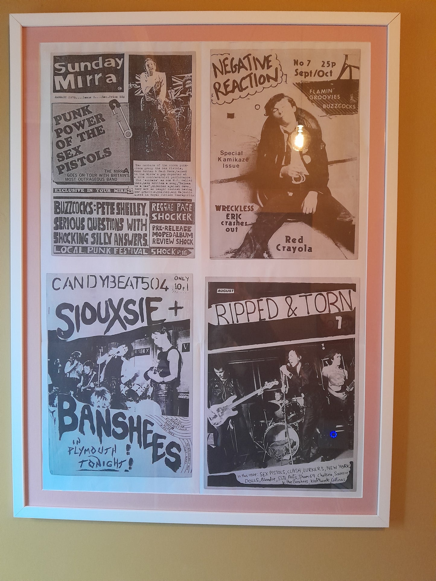 Framed Mott Collection Punk poster. Siouxsie.