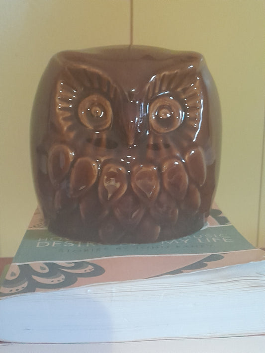 USEd 293 Vintage Denmead Pottery Owl Money Box. 1970